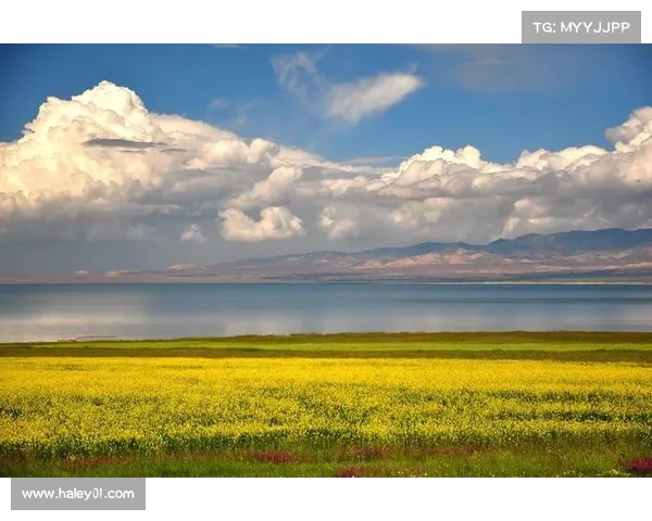 洛里昂周边风光与历史文化深度探访之旅