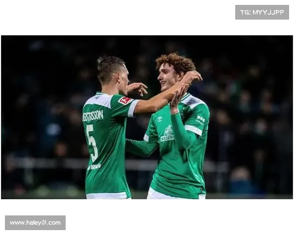 德甲联赛版权收入分析与未来发展趋势探讨